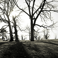 Slum Runners: A Tumaini Film Project avatar photo