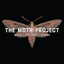 The Moth Project avatar photo