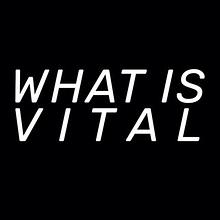 THE WHAT IS VITAL PROJECT avatar photo