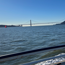 Nomad Harvest avatar photo