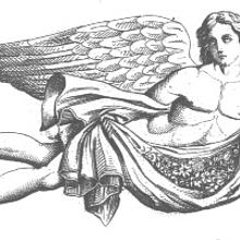 Deerbrook avatar photo