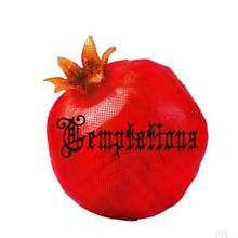 The Temptations Salon and Zine avatar photo