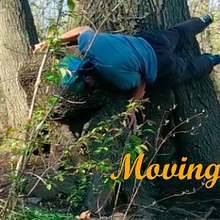 Moving Rasa avatar photo