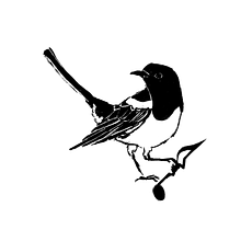 Magpie Concerts avatar photo